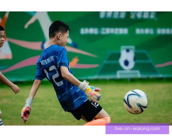 章鱼足球直播带你纵览全球绿茵赛场精彩瞬间与深度解说实时互动分析